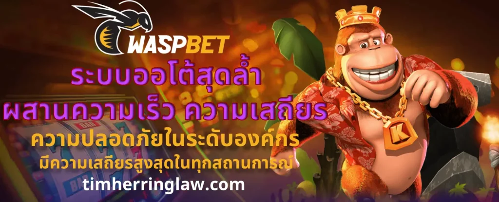 เว็บ ผึ้ง waspbet